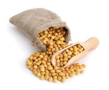 Benefits of Soybean for women